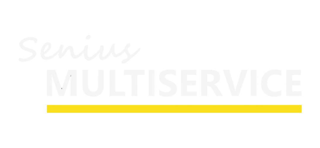 Senius Multiservice